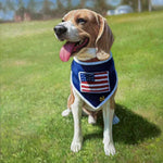 Pet Portrait - PaintedForever