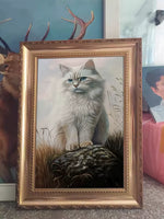 Framed custom cat portrait of a long-haired feline on a rock. Personalized pet artwork with natural background for home display.