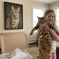 Hand - Painted Cat Portrait - PaintedForever