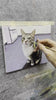A portrait of a cat being painted by hand.